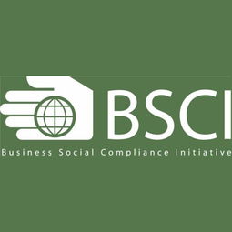 深圳九域企業管理 一站式EICC驗廠咨詢輔導，助力企業合規與卓越